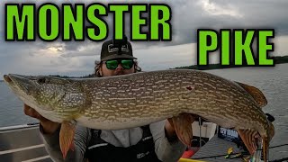 Fishing Northern Alberta for BIG Northern Pike! | Late Summer Pike