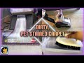 Satisfying Carpet Cleaning in My Sister’s Room & Hallway 🧼 | Prevacuuming + Pretreating | 1080p60