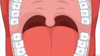 Ukataji Wa Kimeo