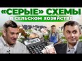 Как фермеры уходят от налогов | Экономика и Деньги в сельском хозяйстве | Андрей Даниленко