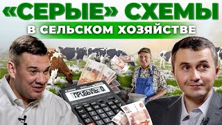 Как фермеры уходят от налогов | Экономика и Деньги в сельском хозяйстве | Андрей Даниленко