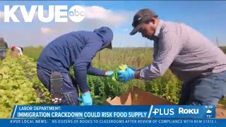 Immigration crackdown could increase risk for US food supply shortages