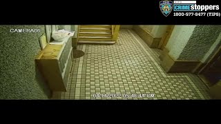 Caught on video: Violent, armed push-in robbery in the Bronx