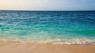 Sleep For 1 Hours Straight | Soothing Waves Crashing on Beach | Ocean Waves White Noise