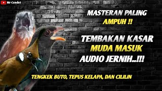 MASTERAN PALING AMPUH..!!!TEMBAKAN KASAR TENGKEK BUTO, TEPUS KELAPA, DAN CILILIN !!