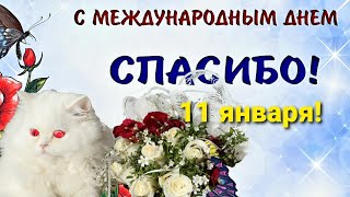 С международным днем спасибо! Поздравление с этим красивым праздником 11 января.