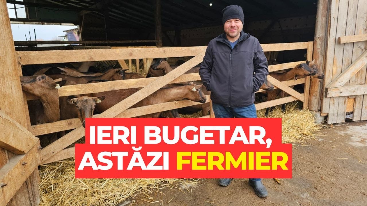 A renunțat la munca de la stat pentru cea din ferma de capre
