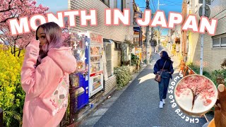 A MONTH IN MY LIFE IN JAPAN MARCH Shopping Travel Cherry blossoms
