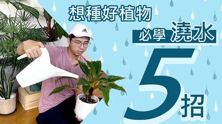 種植物先學澆水！重點五大招 - 天天要聞