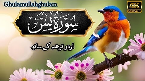 سورة يس مكتوبة مكررة ٣ مرات من الآية (9) إلى الآية (12) Surah Yaseen with urdu translation