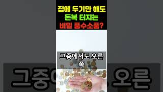 집에 두기만 해도 돈복 터지는 풍수비법 물건은?