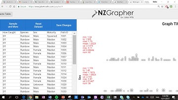 How to use NZ Grapher