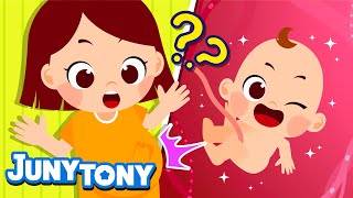 How Is a Baby Born? | Baby Born Song | New Baby Song | My Body Songs for Kids | JunyTony screenshot 5