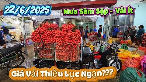 QUÁ BẤT NGỜ LƯỢNG VẢI THIỀU LỤC NGẠN BÁN NGÀY MƯA  TO NGẬP LỤT NHIỀU NƠI I NÚI ĐỒI LỤC NGẠN