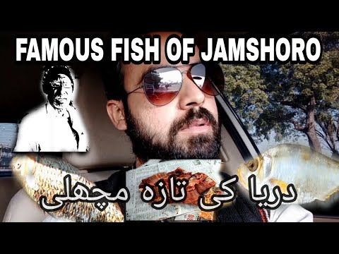 Famous fish Jamshoro | fresh fish of river indus | Hyderabad