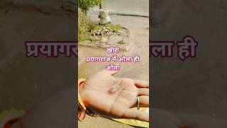 खीरी में बे मौसम बरसात के साथओलावृष्टि #viralvideo #viralshort  #loola