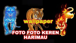 50 Foto HARIMAU keren || Logo for Wallpaper 2021