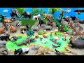 Africa Safari Animals Diorama Learn Wildlife Animal 동물장난감으로 영어 이름배우기
