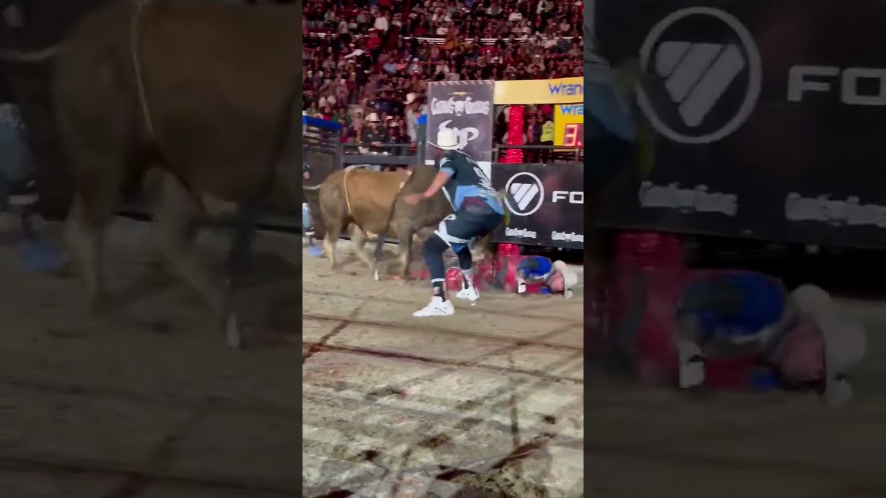 CUERNOS CHUECOS PLAZA DE TOROS MEXICO