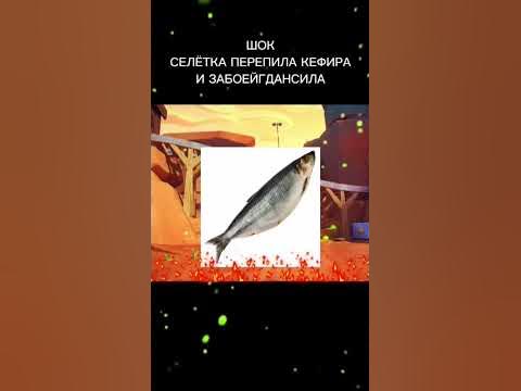 @СЕЛЕТКА - YouTube