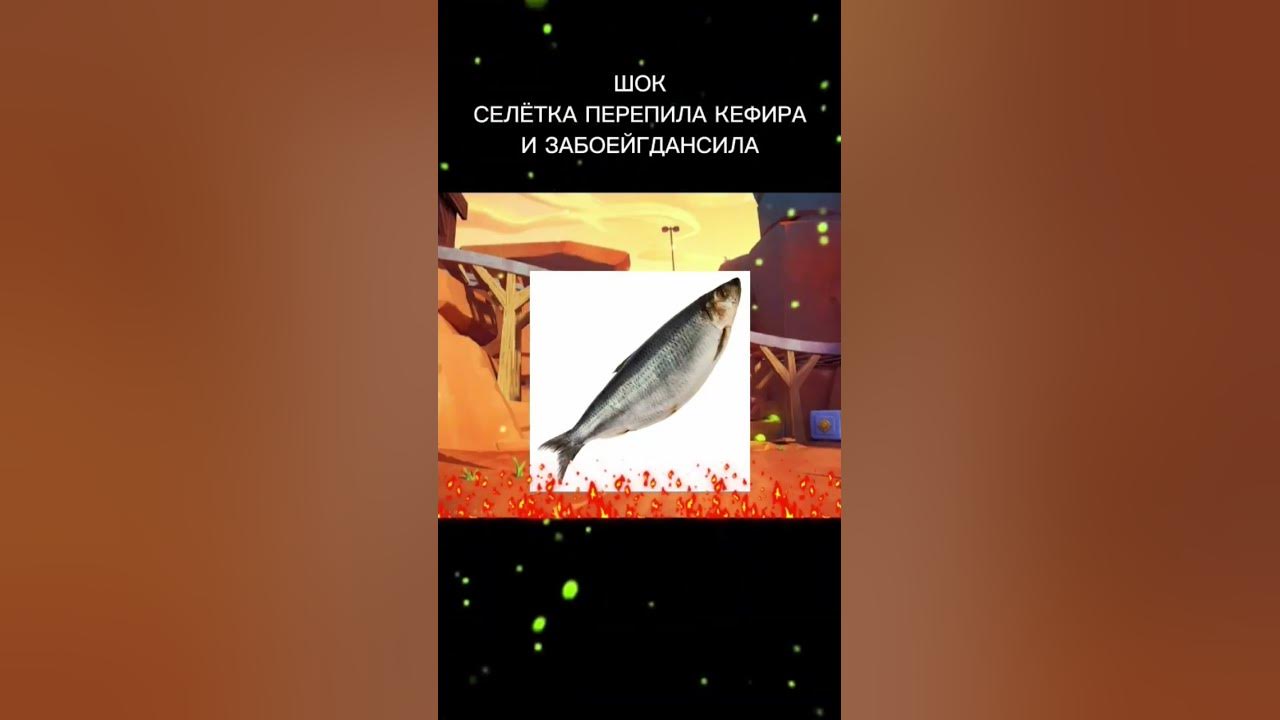 @СЕЛЕТКА - YouTube