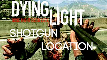 Dying Light ショットガン