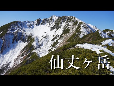 【登山】南アルプスの女王、仙丈ヶ岳。(北沢峠より日帰り登山)