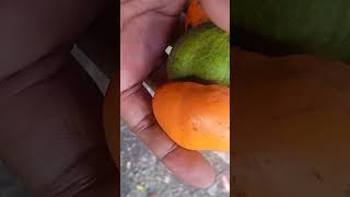 Buah unik.# jambu mente hutan#