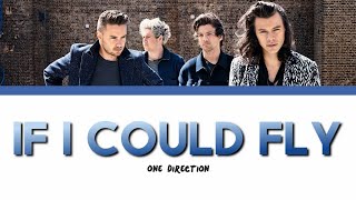 ONE DIRECTION - IF I COULD FLY lyrics (Color Coded)