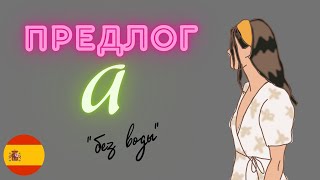 :     . ׸, , " ".