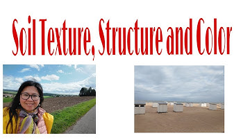 Agri Board Exam : Soil Texture, Structure and Color