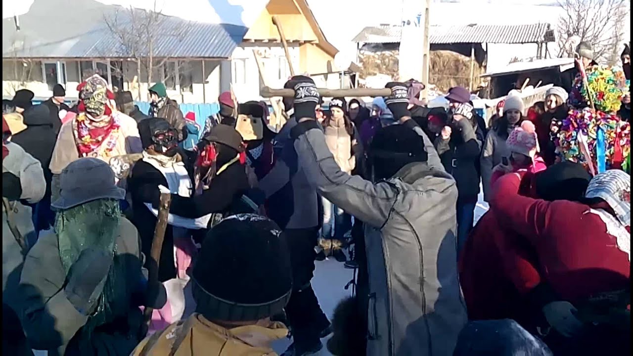 Capra de la Silistea + Armasoaia