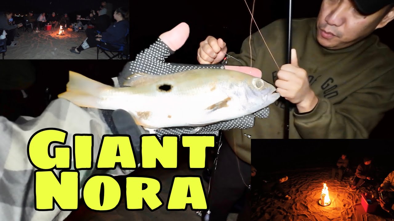 CAMPING AND FISHING | Al Aqah Fujairah, UAE 2026