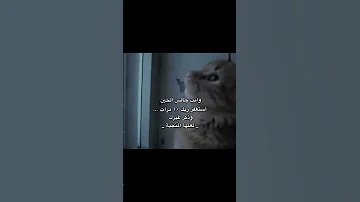 لعلها سبب في توبتك Music Song Bacdz اكسبلور ترند Funny ضحك Colonelkkjϟ دويتو الجزائري 
