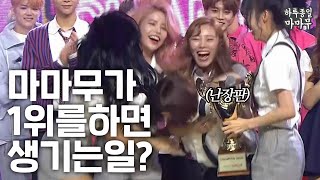 비글미뿜뿜 아이돌이 1위를 하면 생기는 일은? (마마무 1위 세레모니 모음)