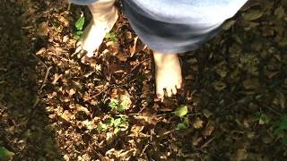 Padding Around Barefoot