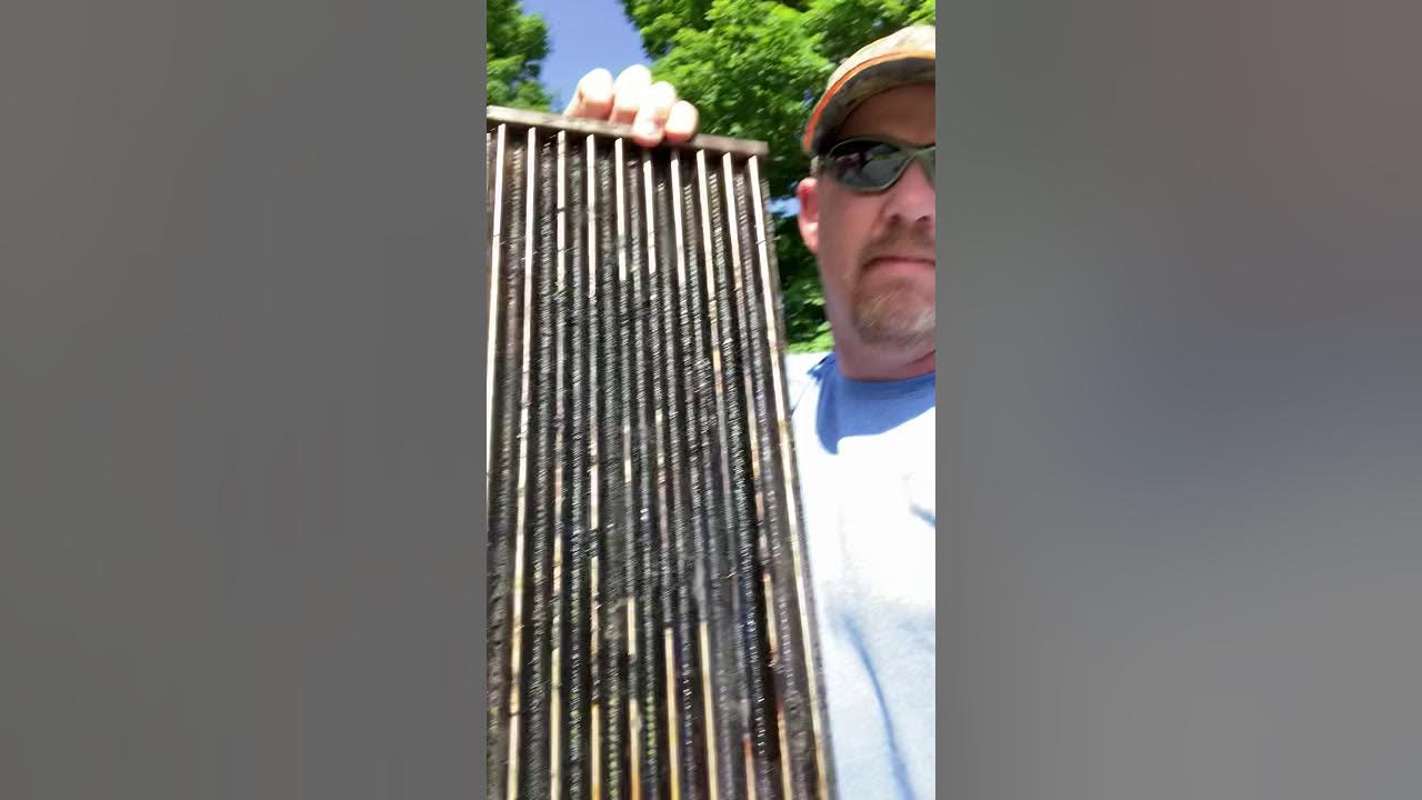 How to clean grill grates fast and easy!! YouTube