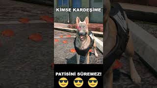 Siyah Pitbull Tyson Kardeşini Polislerin Elinden Alıyor!😎 #gtav #gta #pitbull #gta5