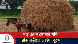 খড় বিক্রি করে কোটি টাকার বাজার গড়ে তুলছে কৃষকেরা | Rajbari Rice Straw | Independent TV