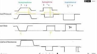 Sympathomimetics Graph Simple Explanation for USMLE I BP, HR, TPR