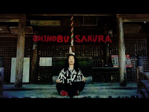 SHINOBU SAKURA【Music Video】KENTA HAYASHI
