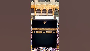 آمن الرسول بما أنزل إليه من ربه والمؤمنون  خواتيم سورة البقرة  للشيخ سعود الشريم