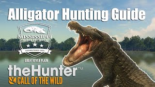 Alligator Hunting Guide With Best Locations !