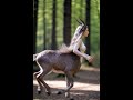 Faun on the Run: Myth Goes Wild#Shorts #viral #aiart