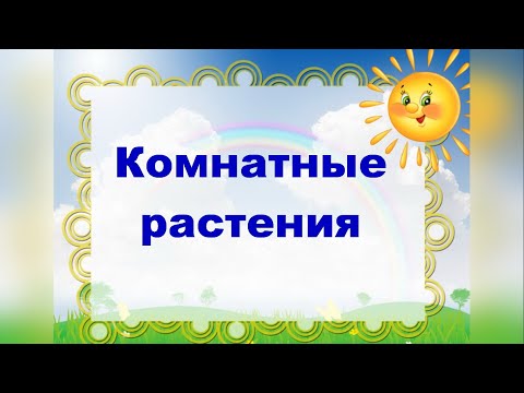 Комнатные растения