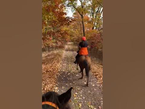 www.youtube.com