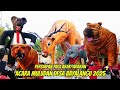 Persiapan pagi arak-arakan muludan Desa bayalangu 2025