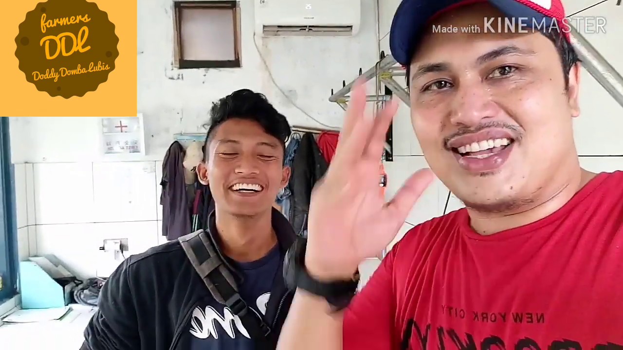 Sebuah contoh  sederhana rumah  potong hewan  YouTube