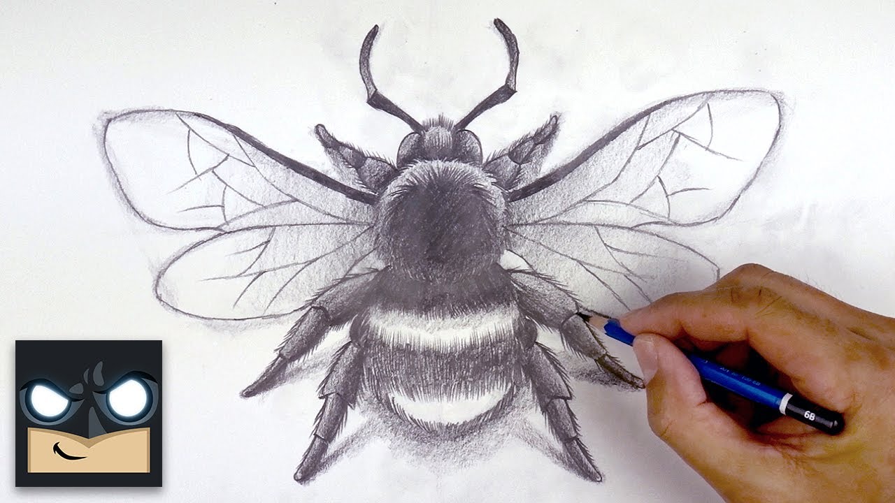 How to Draw a Bumblebee - HelloArtsy