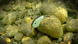 Fishing with Deep Diving Crankbaits 